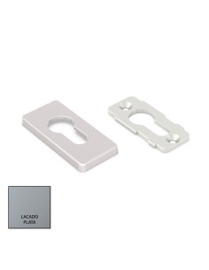 EMBELLECEDOR DELTA DE SEGURIDAD LACADO PLATA REF 050807791