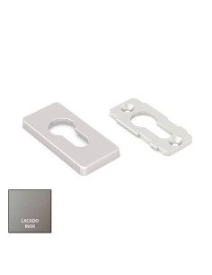 EMBELLECEDOR DELTA DE SEGURIDAD LACADO INOX REF 050807793