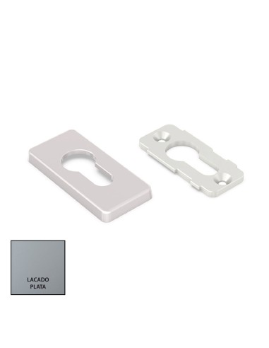 EMBELLECEDOR DELTA DE SEGURIDAD LACADO PLATA...