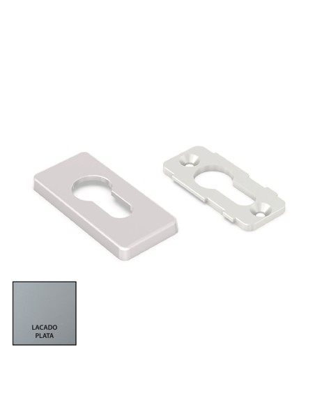 EMBELLECEDOR DELTA DE SEGURIDAD LACADO PLATA REF 050807791