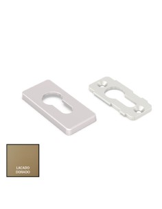 EMBELLECEDOR DELTA DE SEGURIDAD LACADO ORO REF 050807793