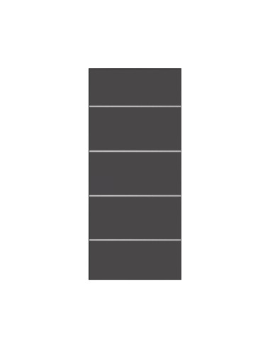 PANEL BORO (4 LINEAS) 2000X800X20 MM GAMA RAL ESTANDAR CON LINEAS INOX